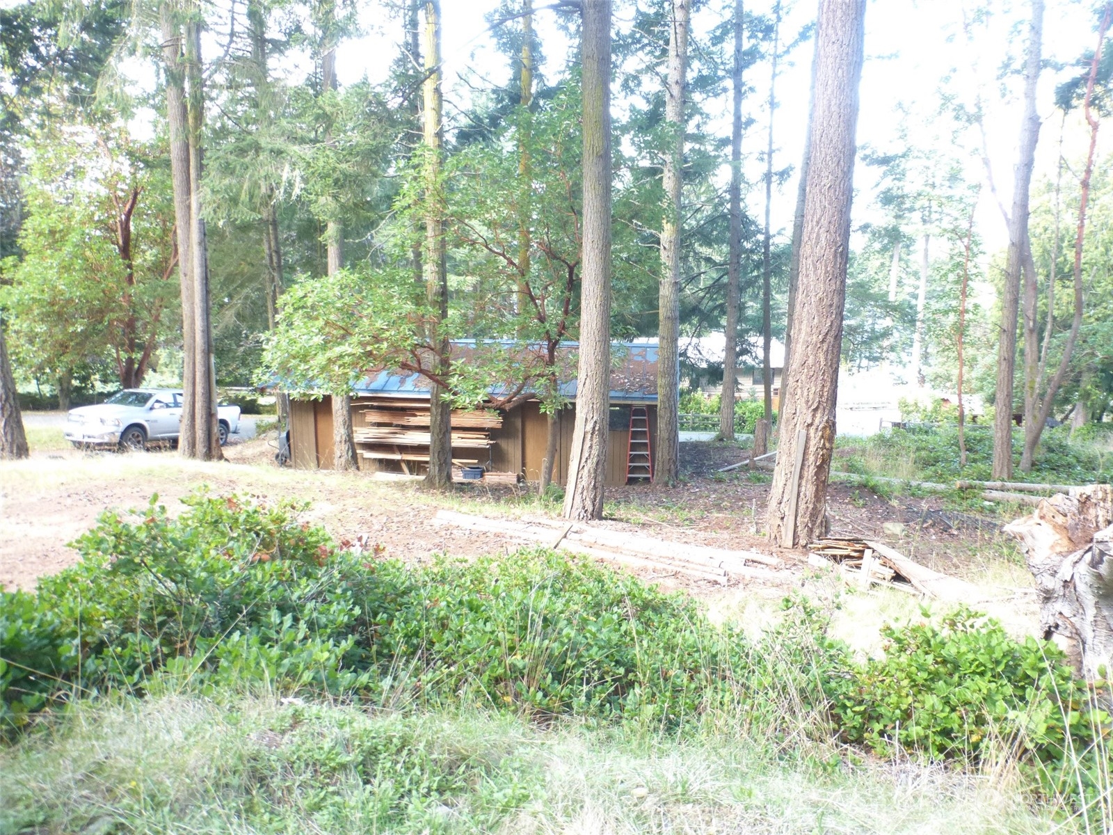 213 Whiskey Hill Road Lopez Island, WA 98261 - Photo 9 of 16 Gallery Image 9