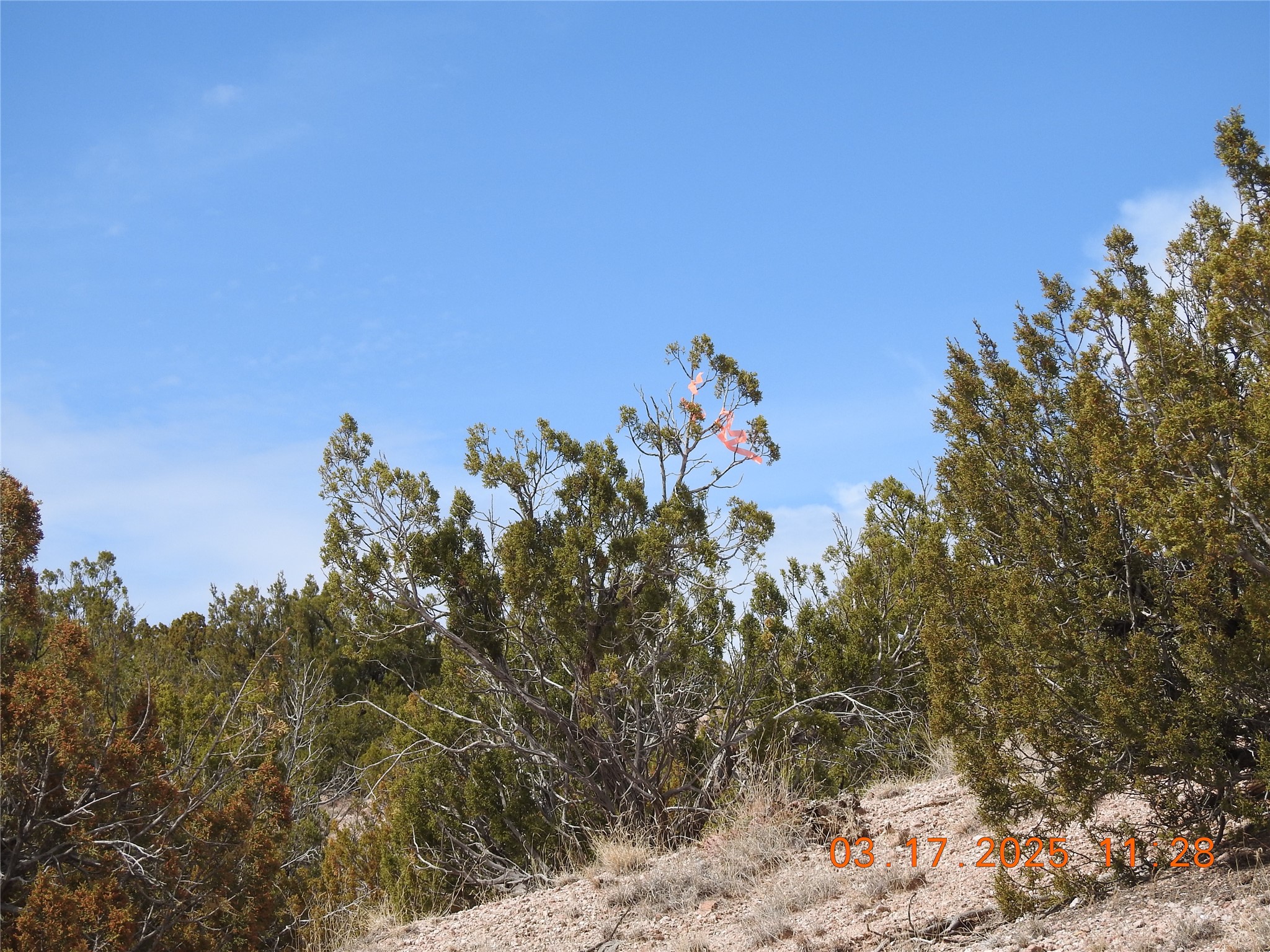 0 Wildass Road Santa Fe, NM 87506 - Photo 2 of 26 SW Corner