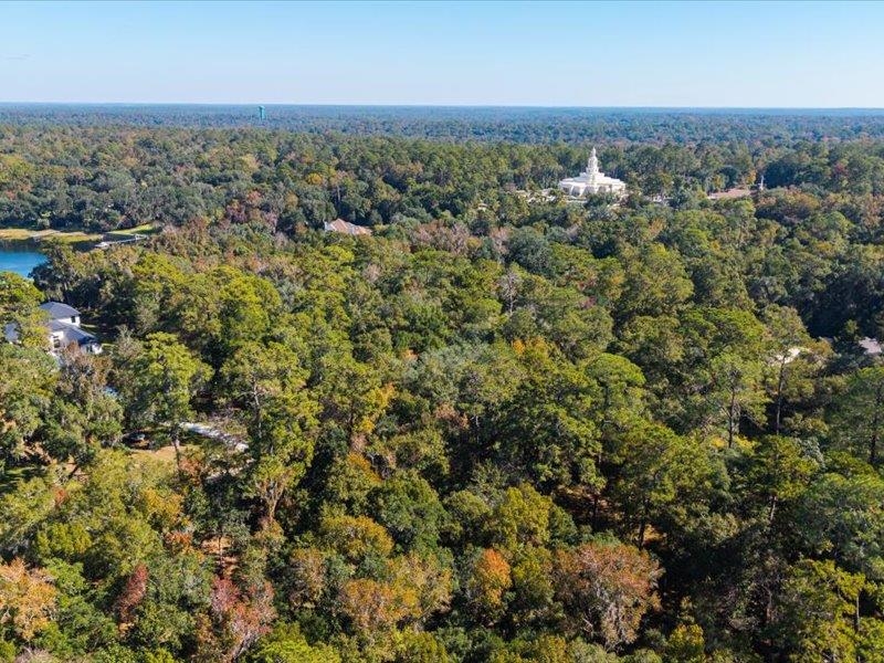 0 Phipps Point Road Tallahassee, FL 32309 - Photo 14 of 15 Gallery Image 14