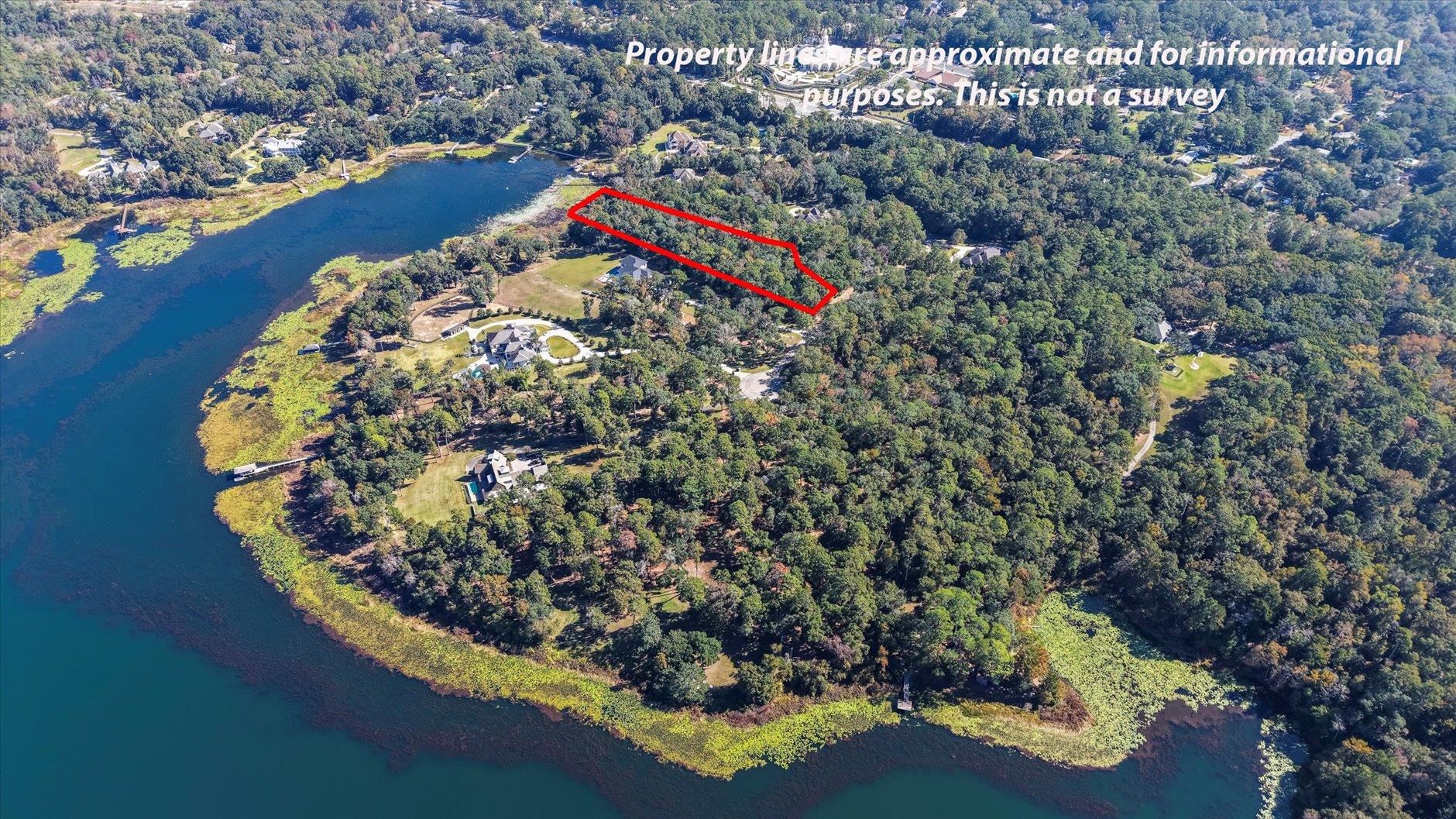 0 Phipps Point Road Tallahassee, FL 32309 - Photo 4 of 15 Gallery Image 4