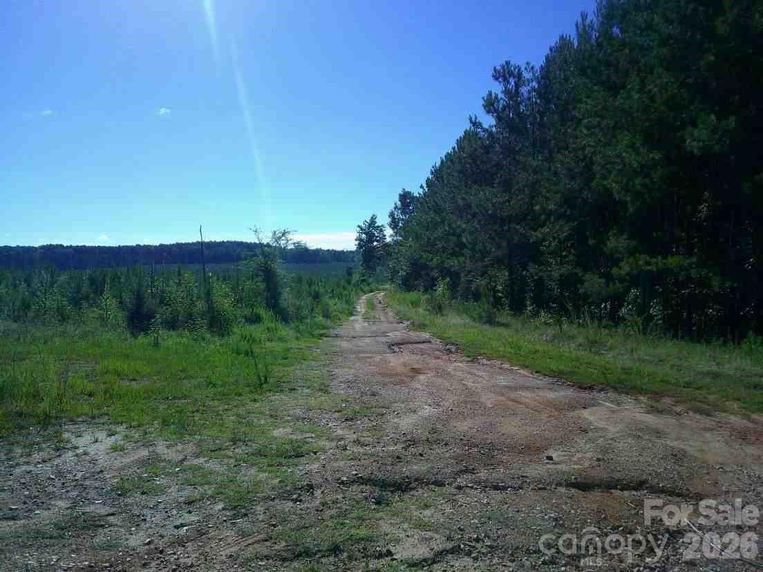 0 Hoodtown Road Sharon, SC 29742 - Photo 2 of 4 a view of a field of grass and trees