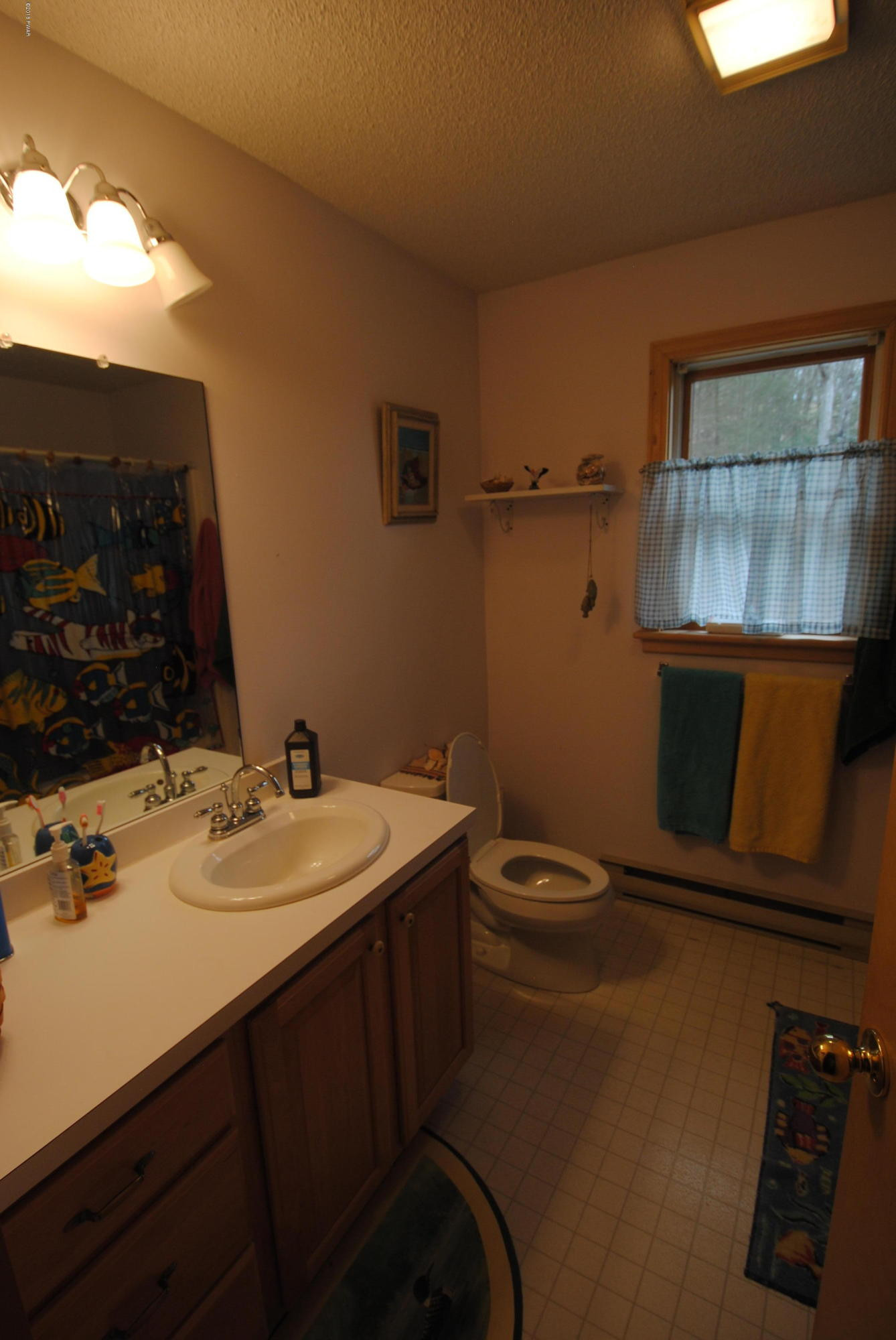 301 Rutledgedale Road Tyler Hill, PA 18469 - Photo 15 of 40 2nd floor guest bath