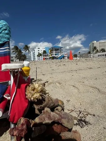 a view of outdoor space with lounge chair