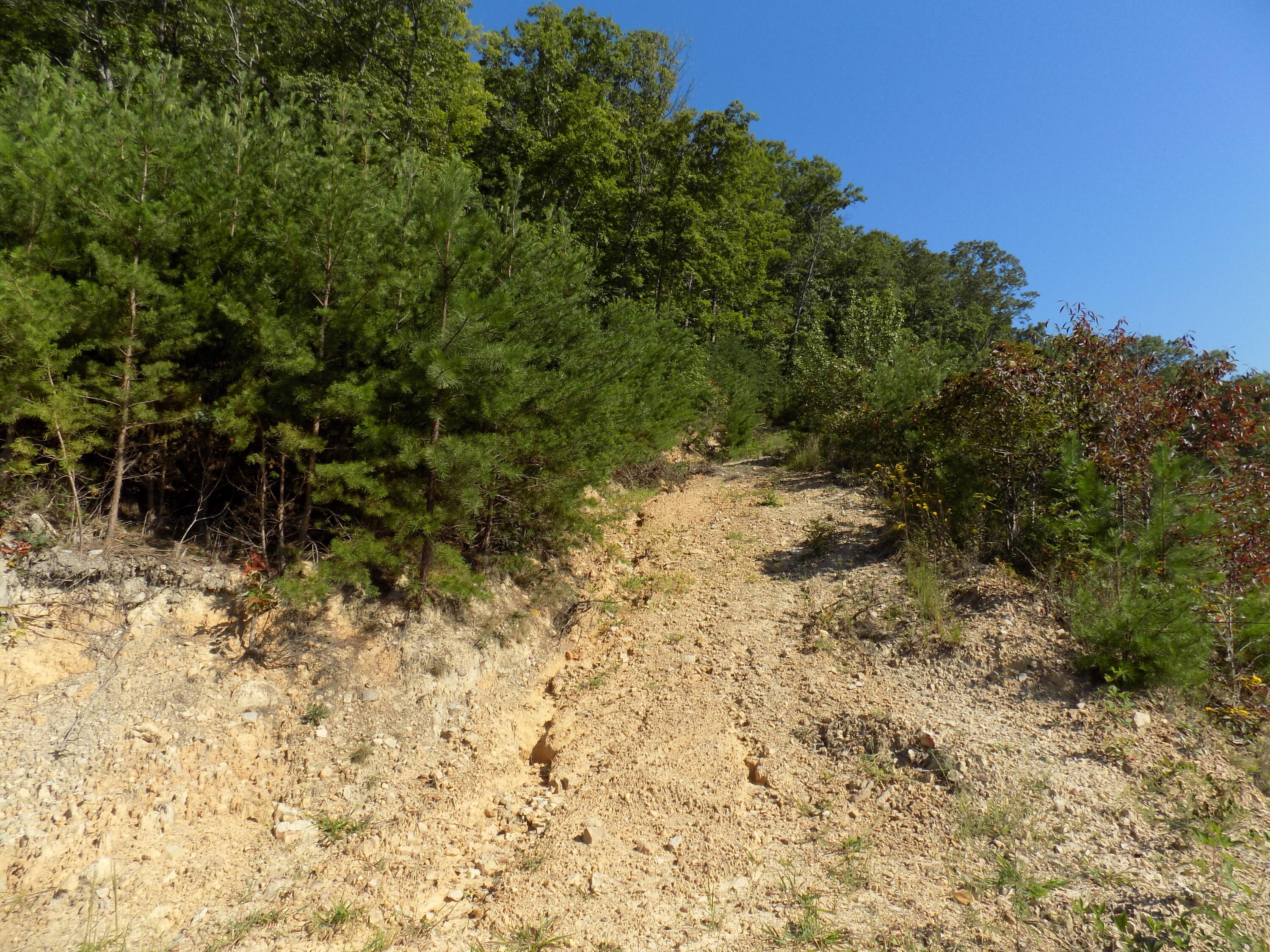 367 Poor Valley Road Rogersville, TN 37857 - Photo 34 of 70 DSCN0192