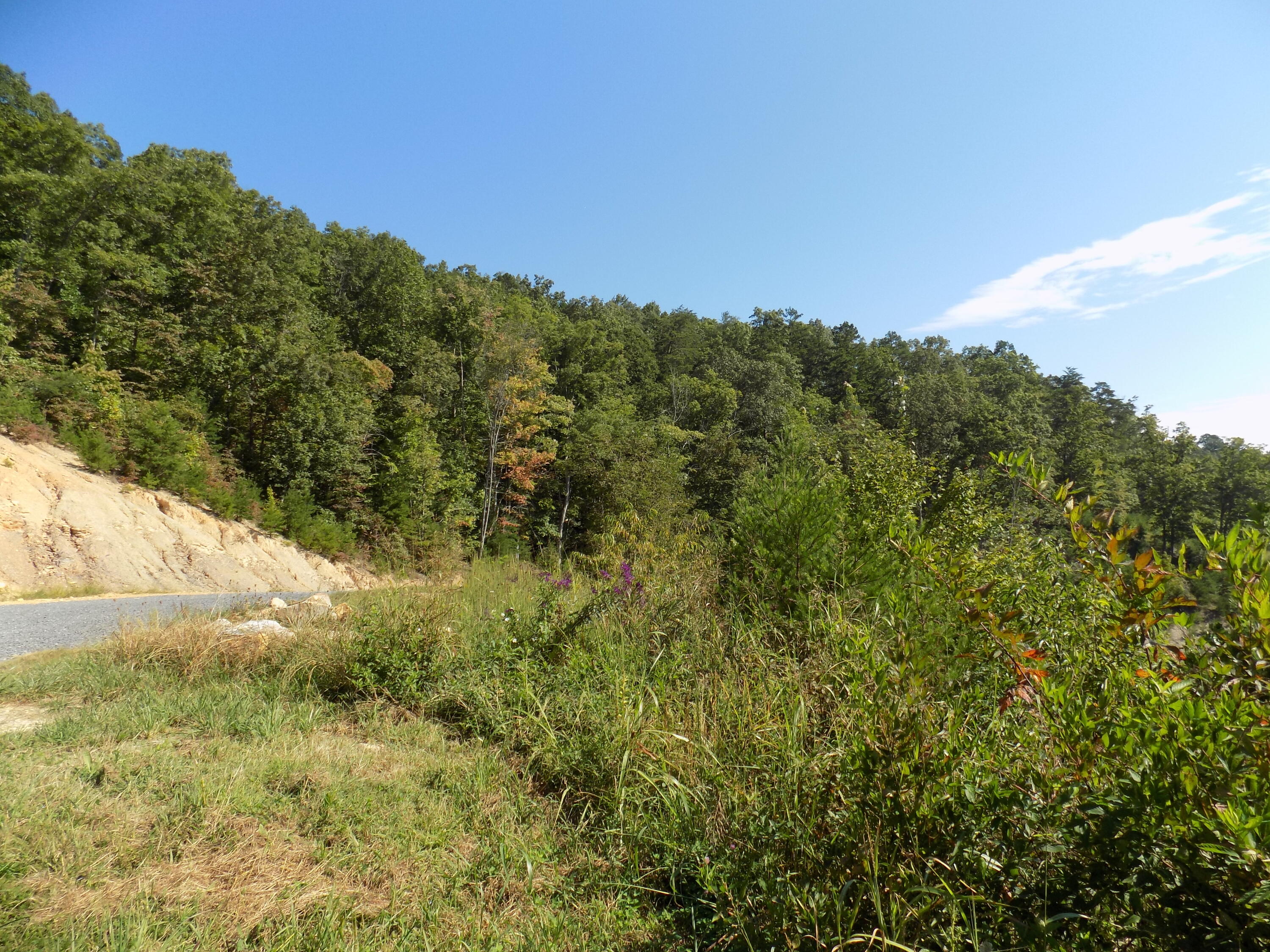 367 Poor Valley Road Rogersville, TN 37857 - Photo 38 of 70 DSCN0196