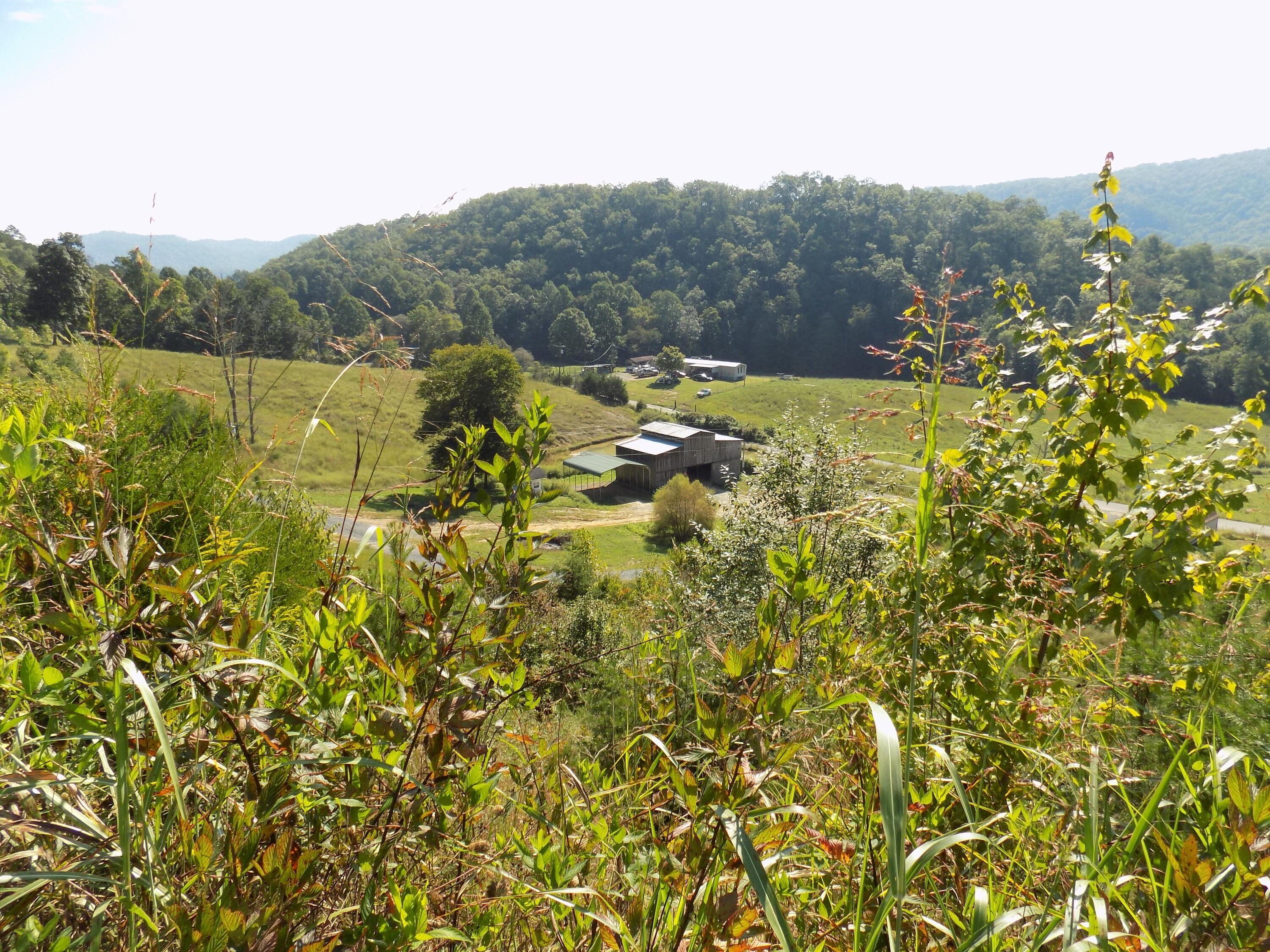 367 Poor Valley Road Rogersville, TN 37857 - Photo 39 of 70 DSCN0197