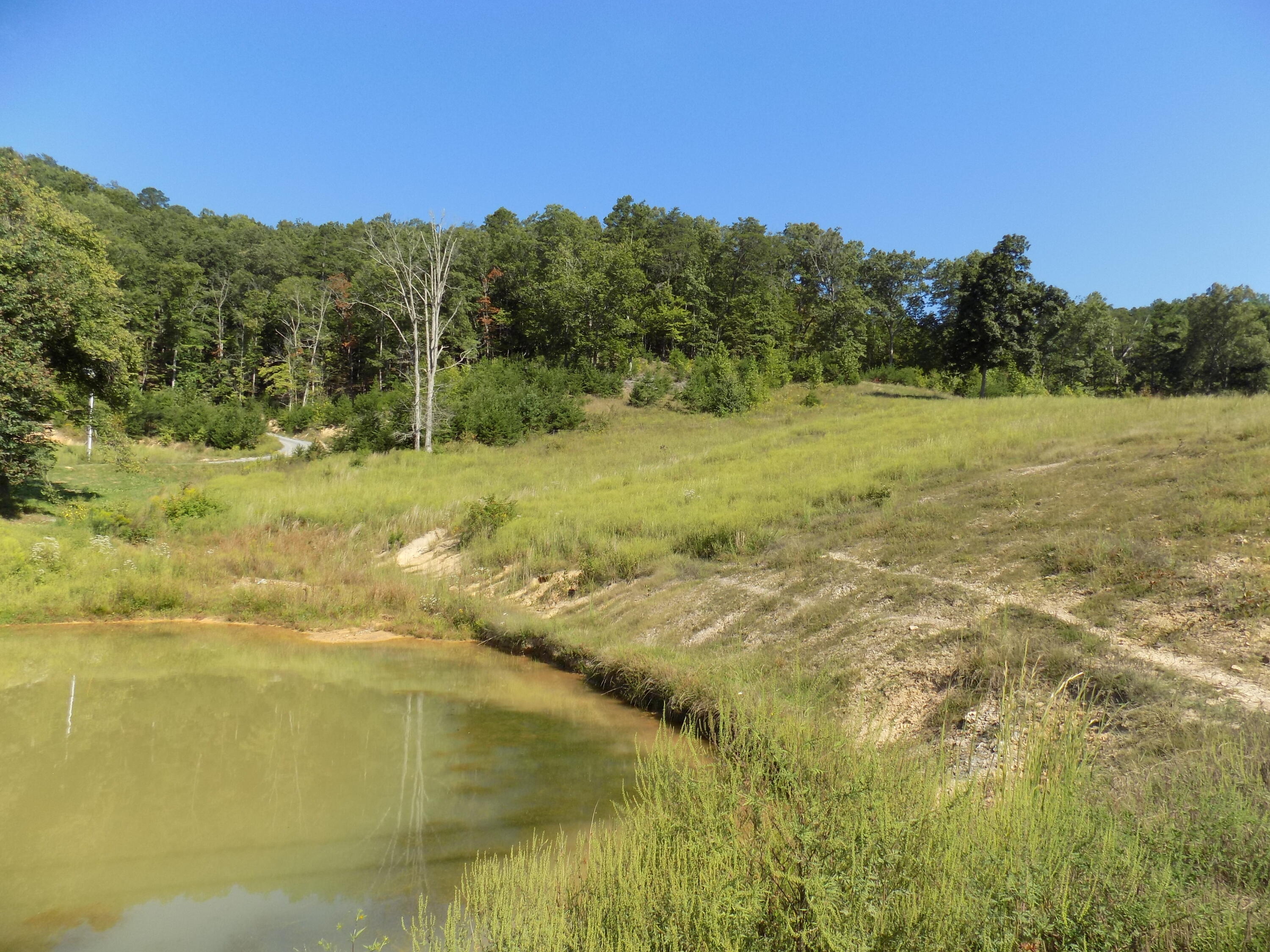 367 Poor Valley Road Rogersville, TN 37857 - Photo 51 of 70 DSCN0209