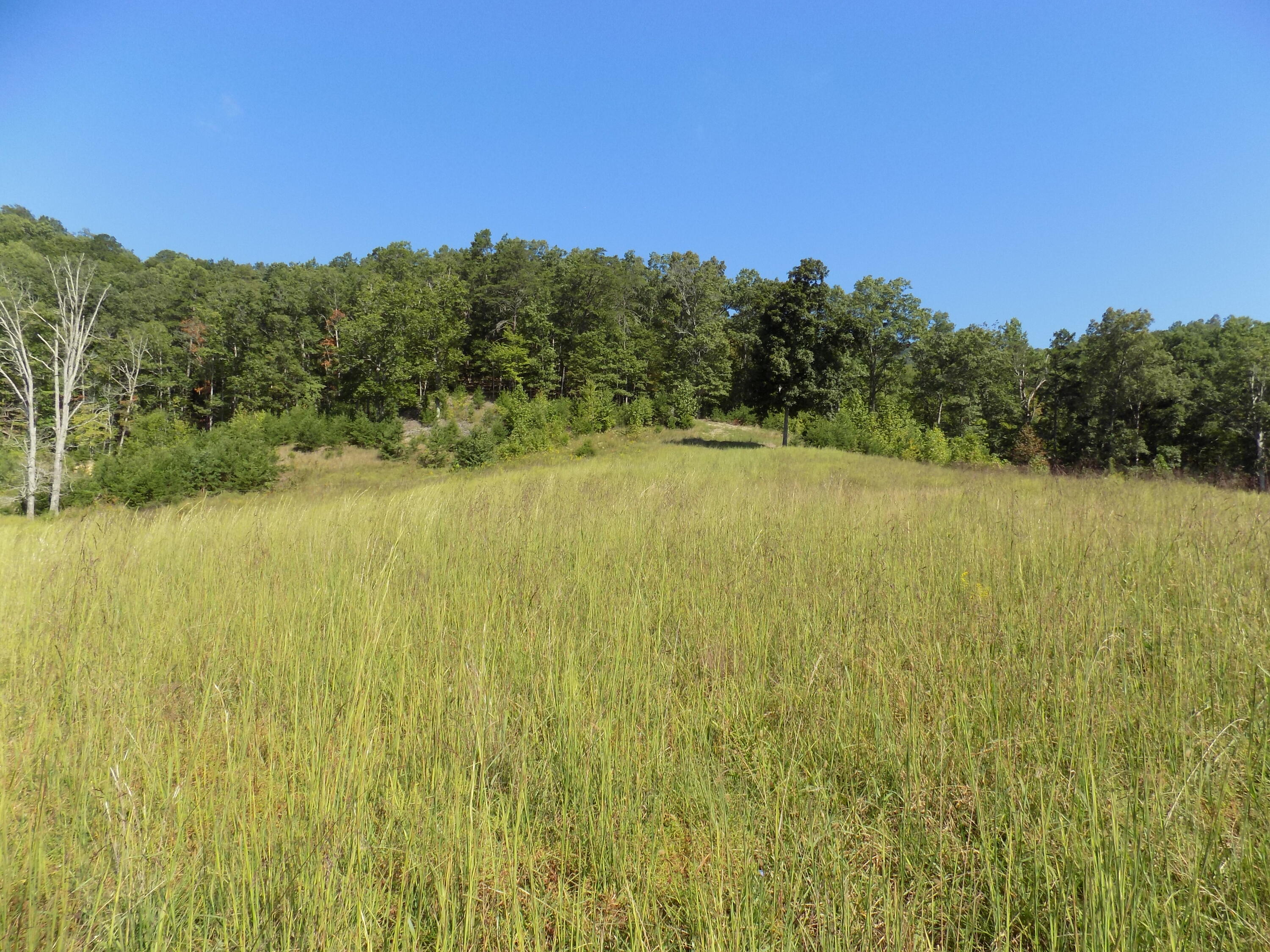 367 Poor Valley Road Rogersville, TN 37857 - Photo 52 of 70 DSCN0210