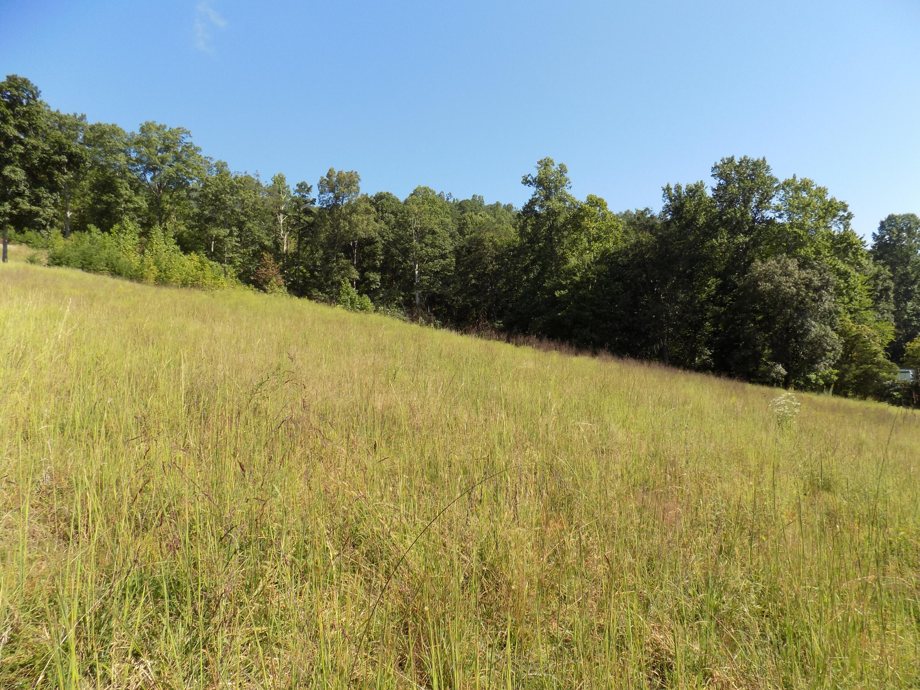367 Poor Valley Road Rogersville, TN 37857 - Photo 54 of 70 DSCN0212