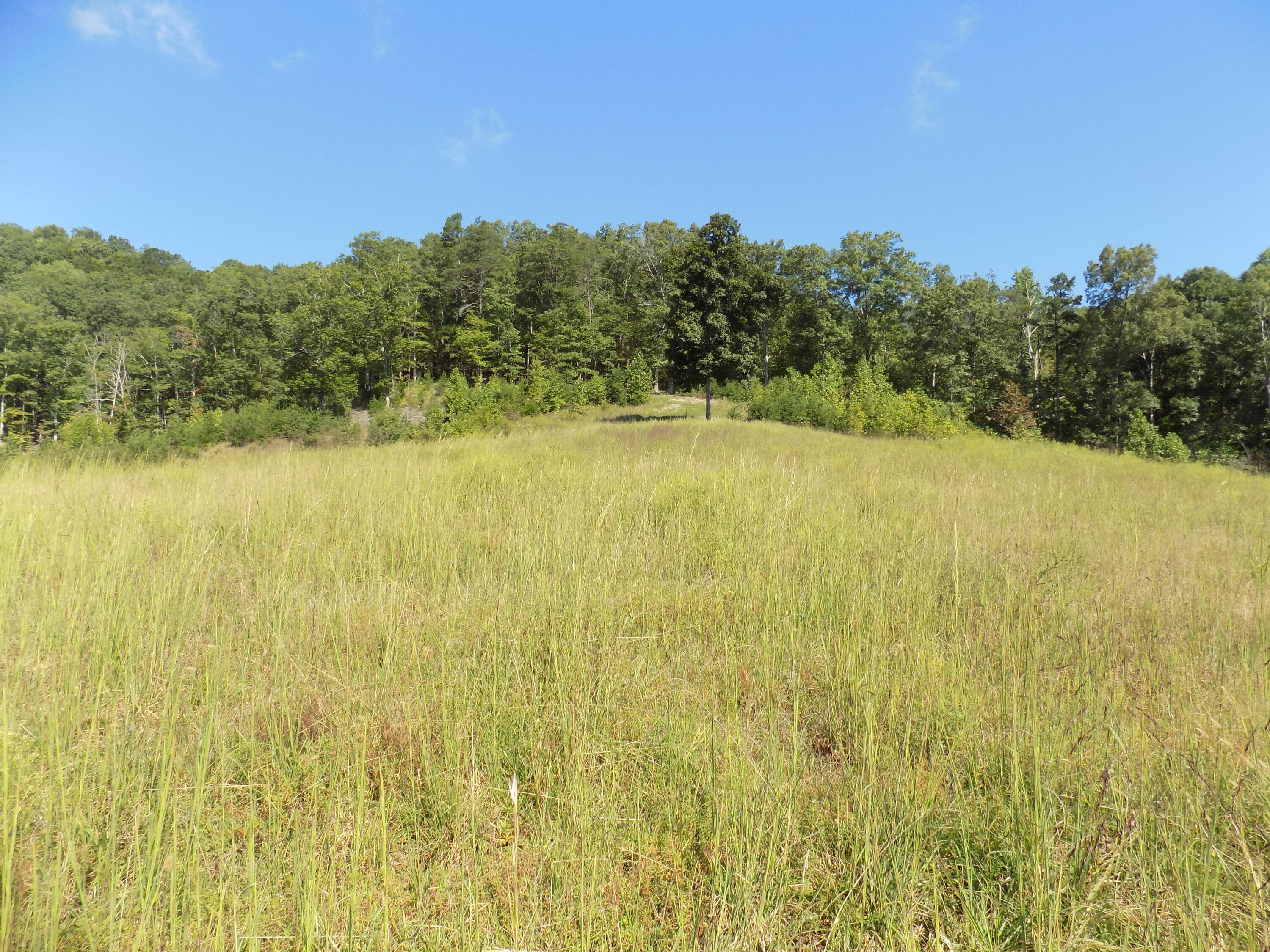 367 Poor Valley Road Rogersville, TN 37857 - Photo 55 of 70 DSCN0213