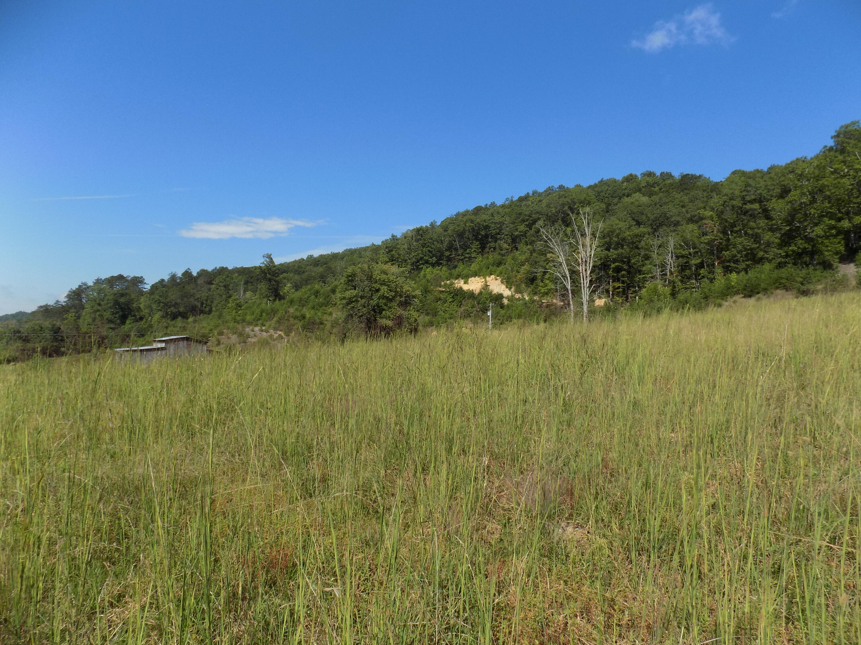 367 Poor Valley Road Rogersville, TN 37857 - Photo 56 of 70 DSCN0214