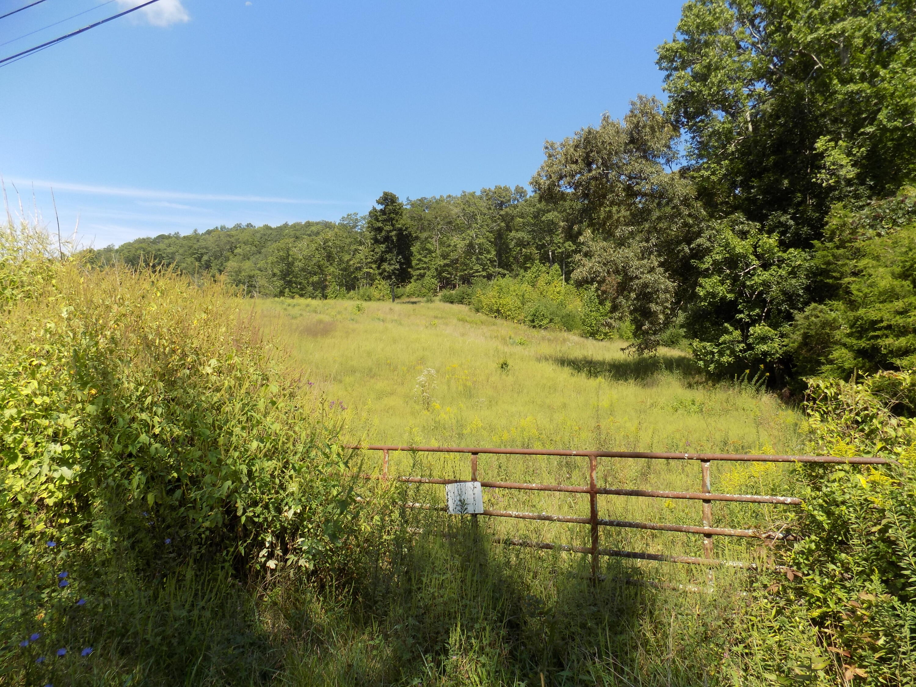 367 Poor Valley Road Rogersville, TN 37857 - Photo 70 of 70 DSCN0228