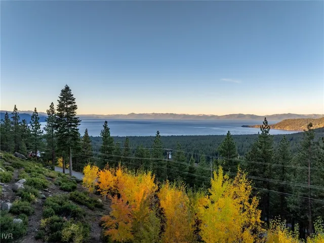 a view of lake with large trees