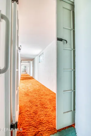 a view of a yard with an tree