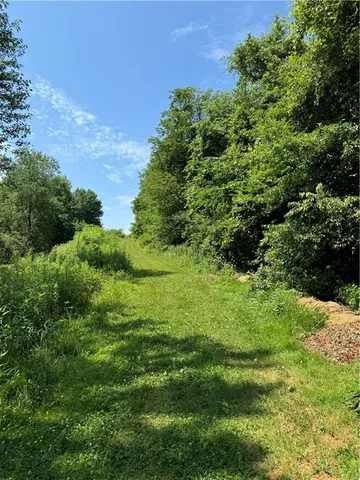 a view of a lush green space
