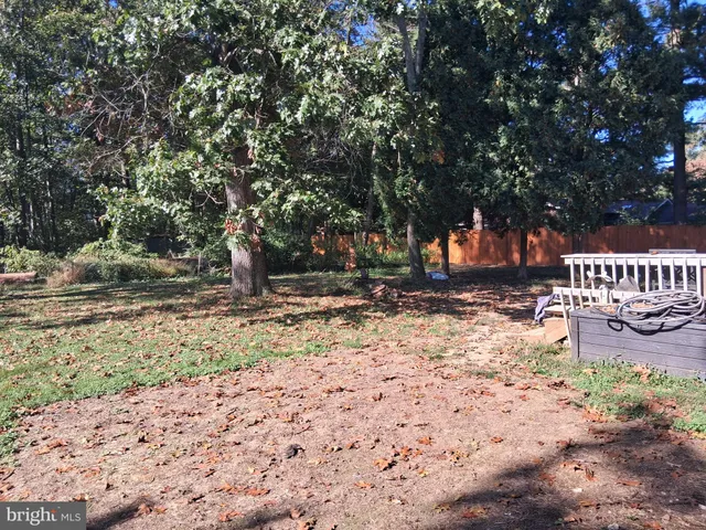 a view of a yard with plants and trees