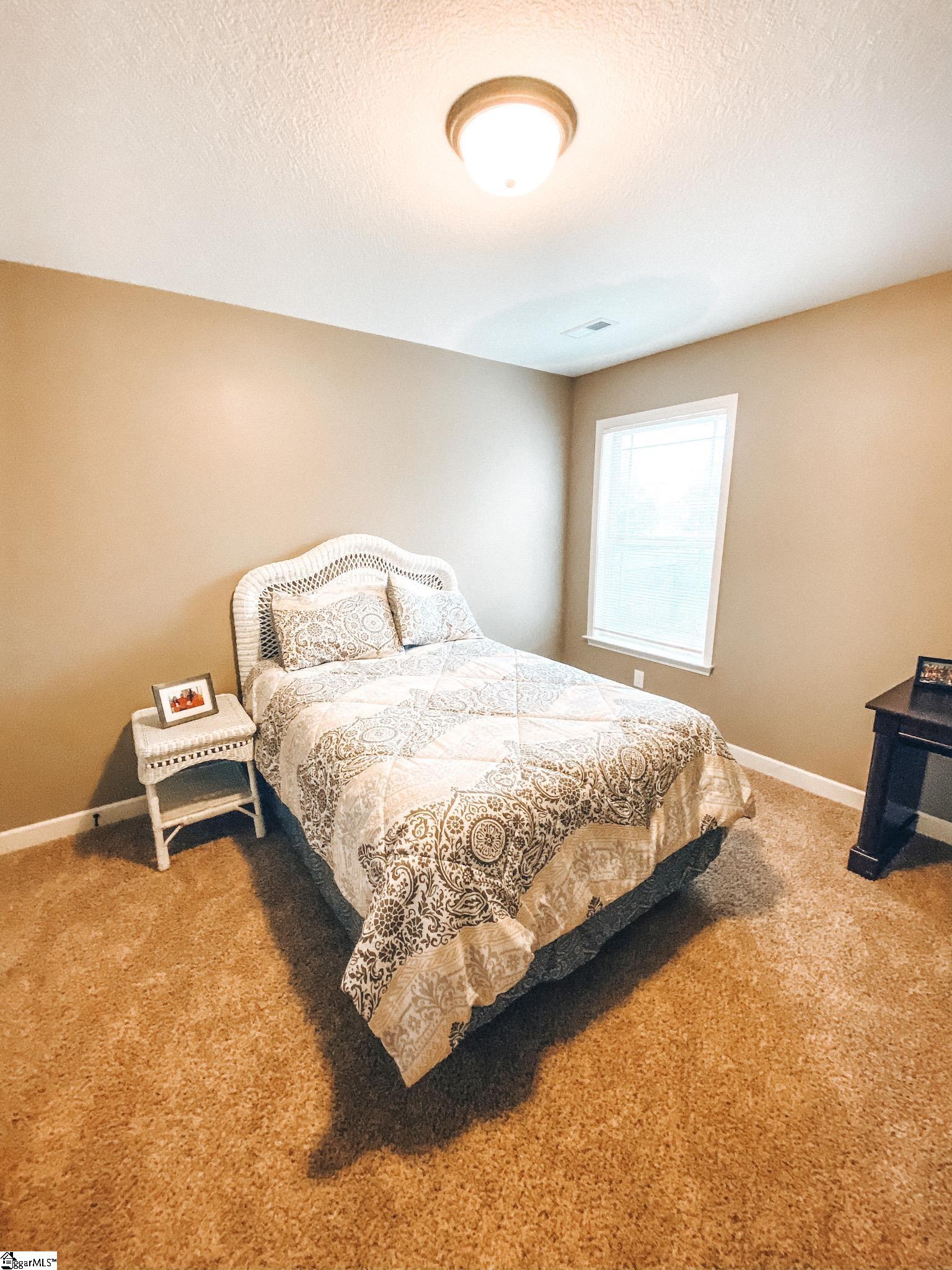 321 Gleaner Drive Inman, SC 29349 - Photo 15 of 18