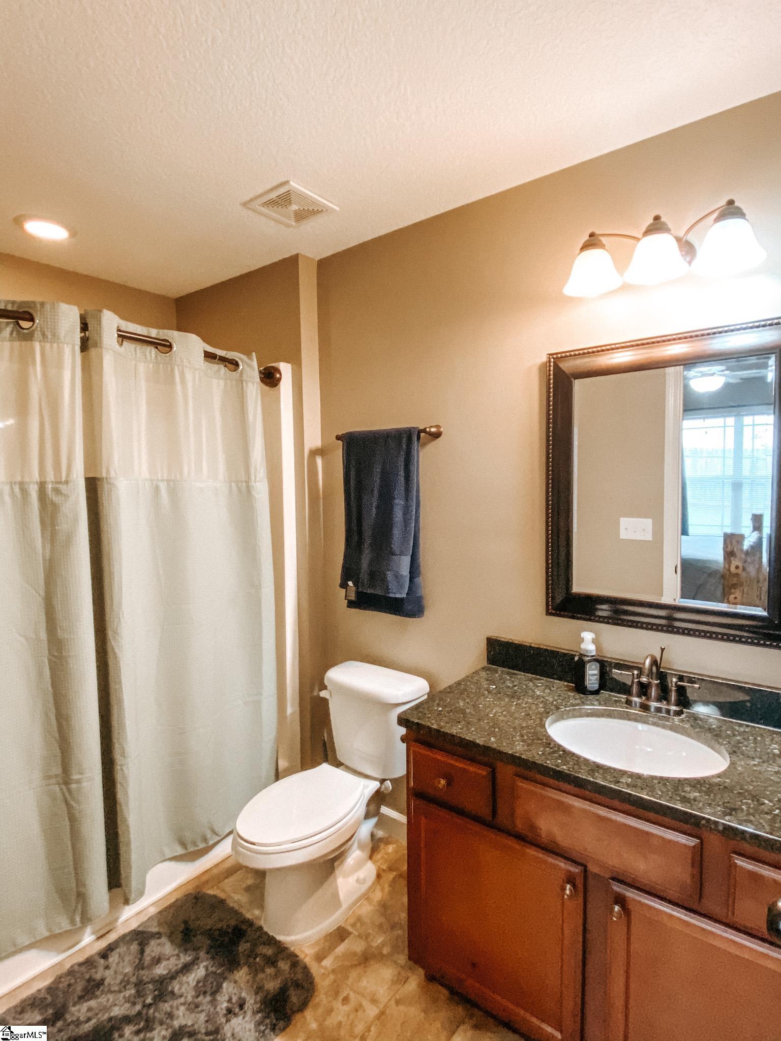321 Gleaner Drive Inman, SC 29349 - Photo 9 of 18