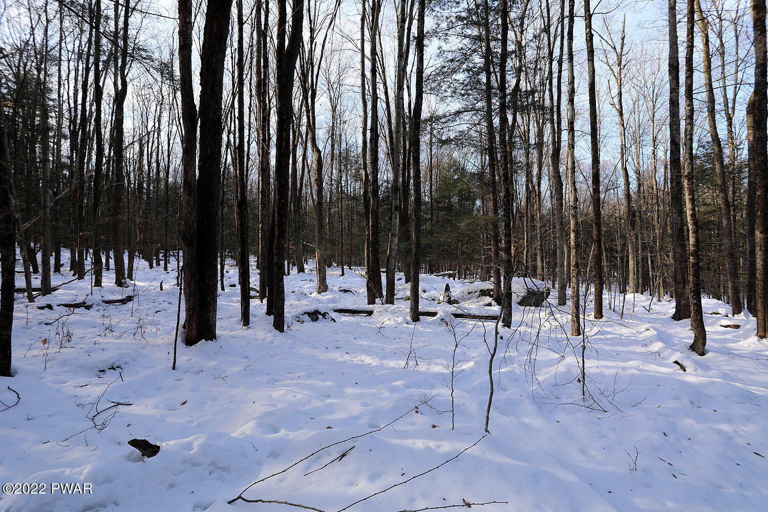 -lot D Spry Road Honesdale, PA 18431 - Photo 7 of 7