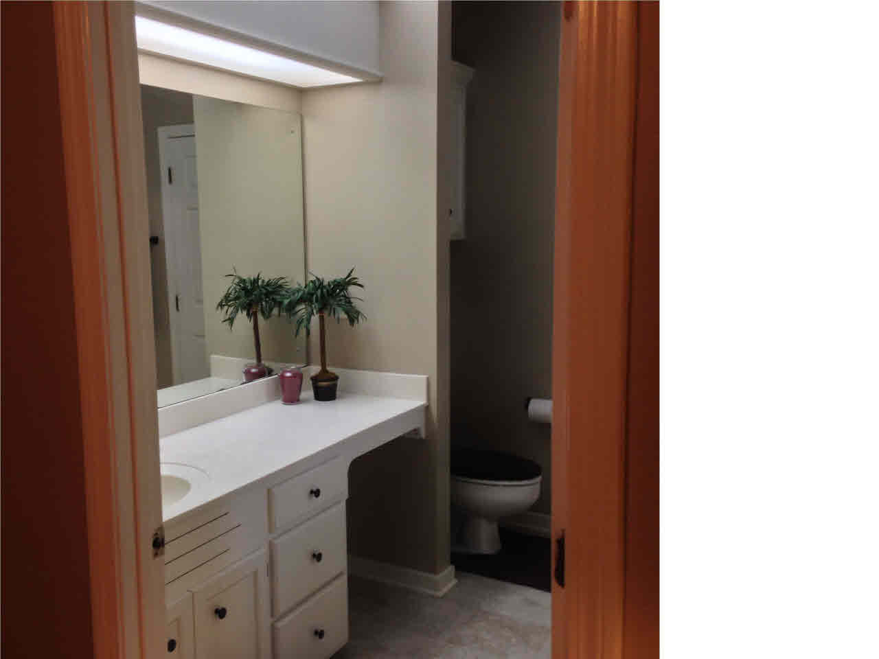 123 Trace Ridge Drive Ridgeland, MS 39157 - Photo 10 of 20 Master bathroom with knee space.