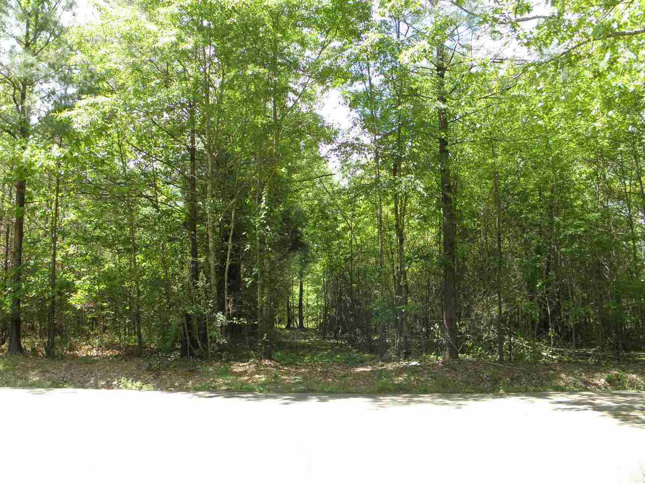 537 Williams Road Florence, MS 39073 - Photo 3 of 5 Photo 3