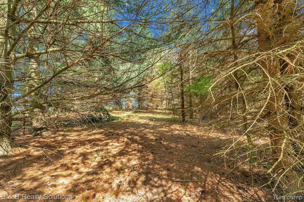 2864 North Blacks Corners Road Imlay City, MI 48444 - Photo 46 of 60 Gallery Image 46