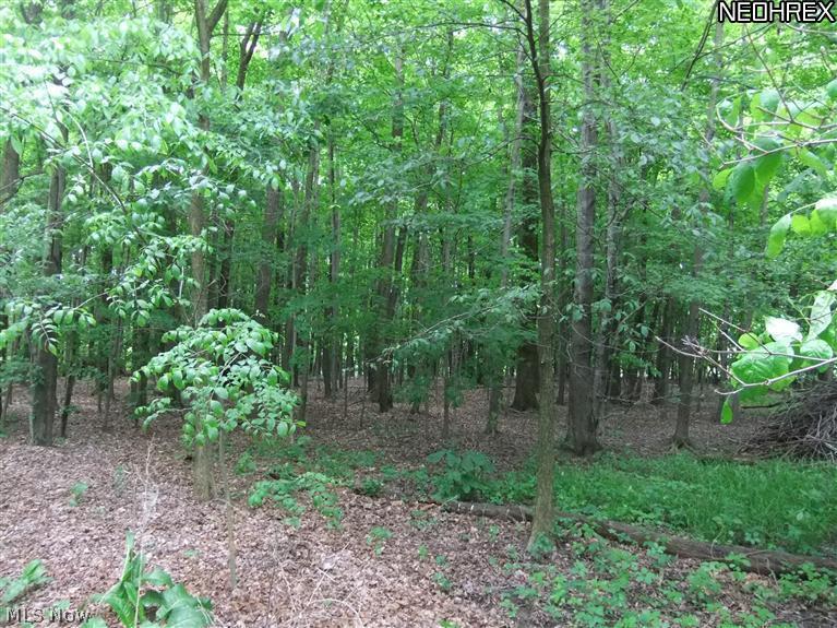 5705 Carsten Road Medina, OH 44256 - Photo 1 of 8 Gallery Image 1