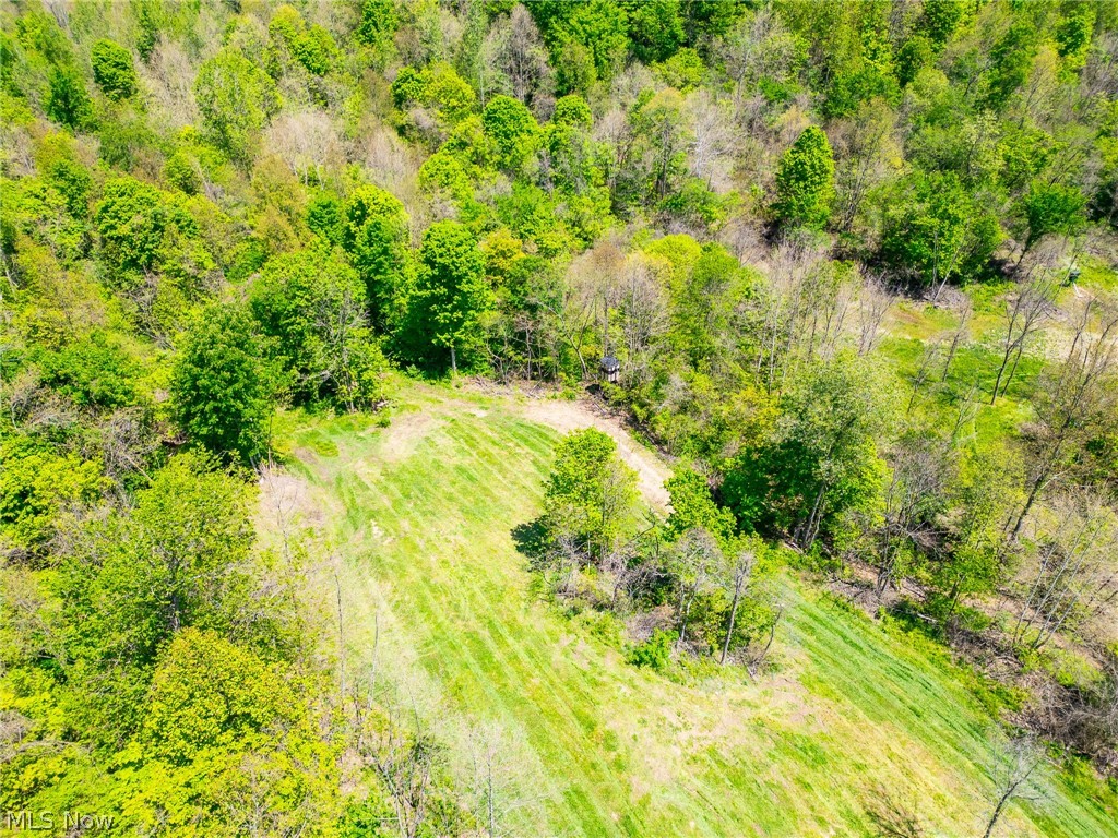 37500 Goose Run Road Dexter City, OH 45727 - Photo 6 of 50