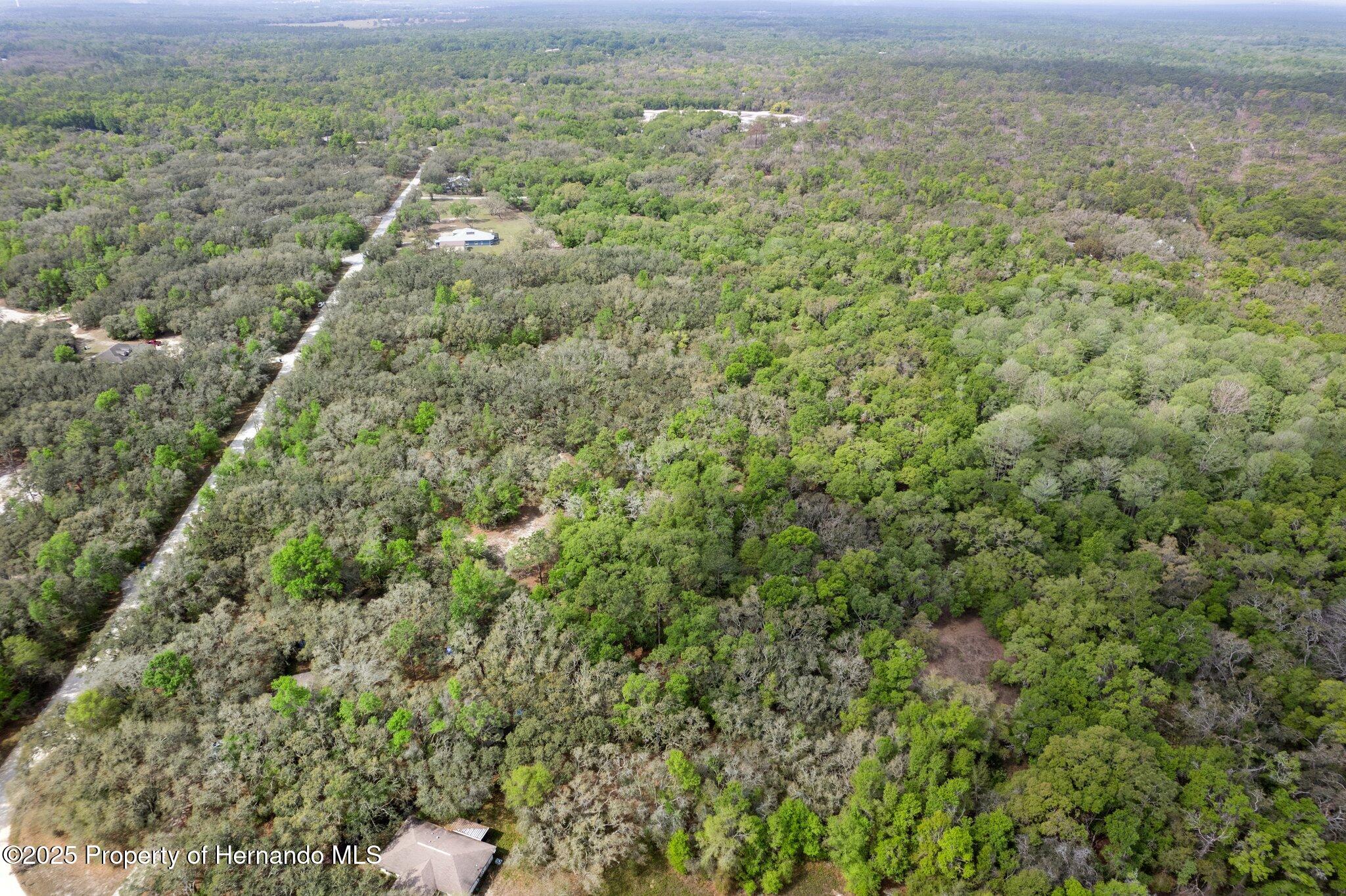 0 Rimrock Street Webster, FL 33597 - Photo 17 of 25
