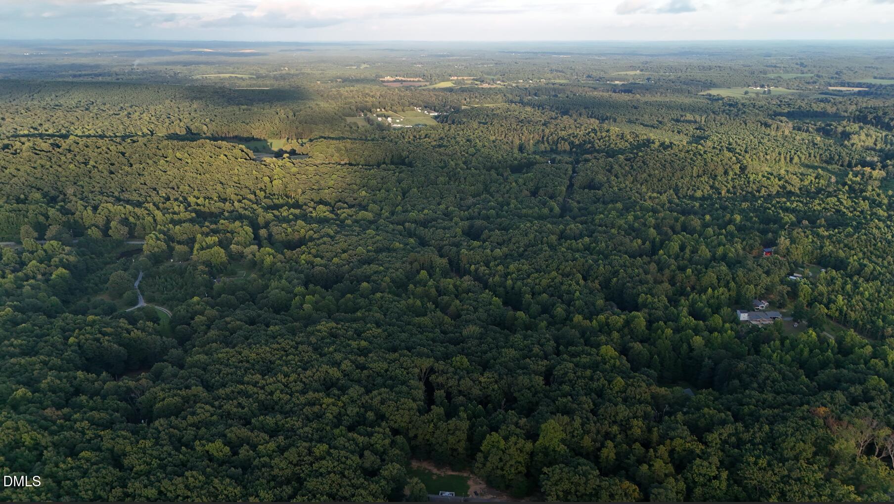 0 Bass Mountain Road Snow Camp, NC 27349 - Photo 12 of 21 S-SE whole property view
