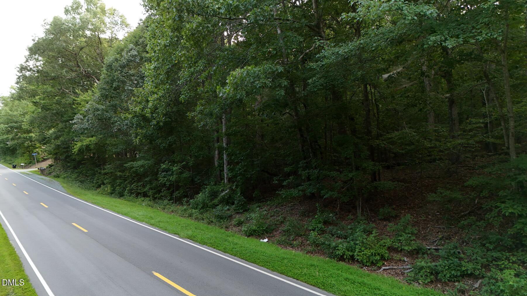 0 Bass Mountain Road Snow Camp, NC 27349 - Photo 14 of 21 Bass mountain 2