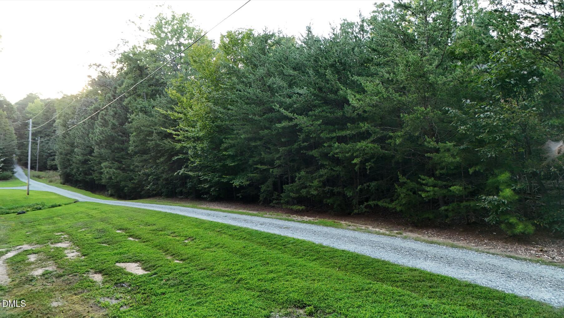 0 Bass Mountain Road Snow Camp, NC 27349 - Photo 15 of 21 Bass Mountain