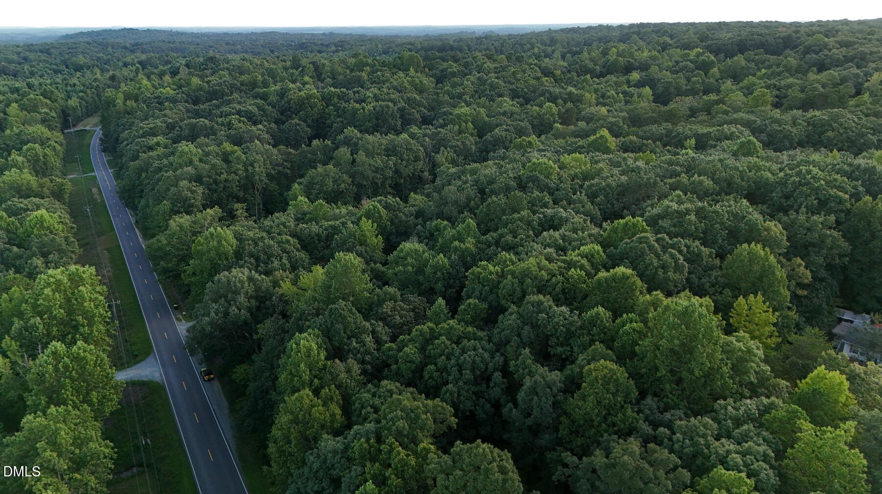 0 Bass Mountain Road Snow Camp, NC 27349 - Photo 10 of 21 S-SW view of E property line