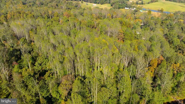 a view of city and mountain