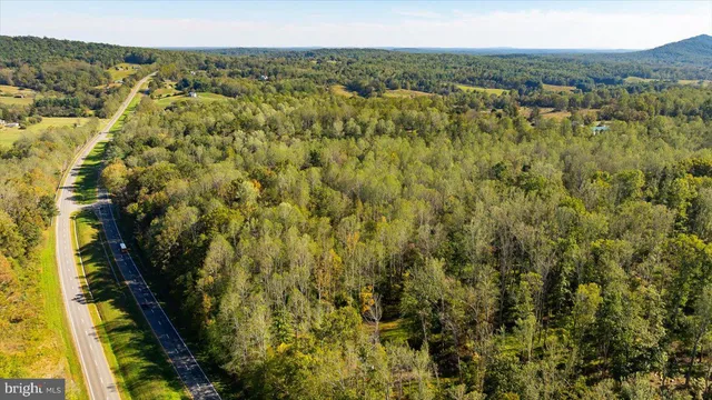 a view of a forest from a balcony