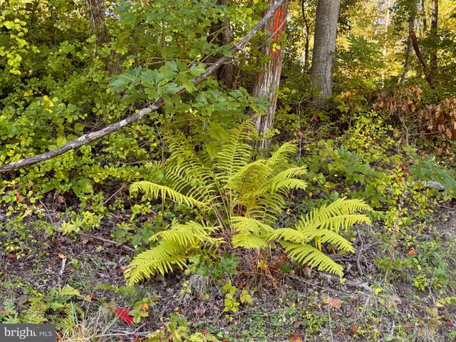 a view of a outdoor space