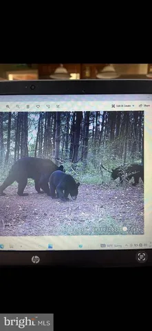 $230,000 | Lee Highway, Amissville, VA 20106