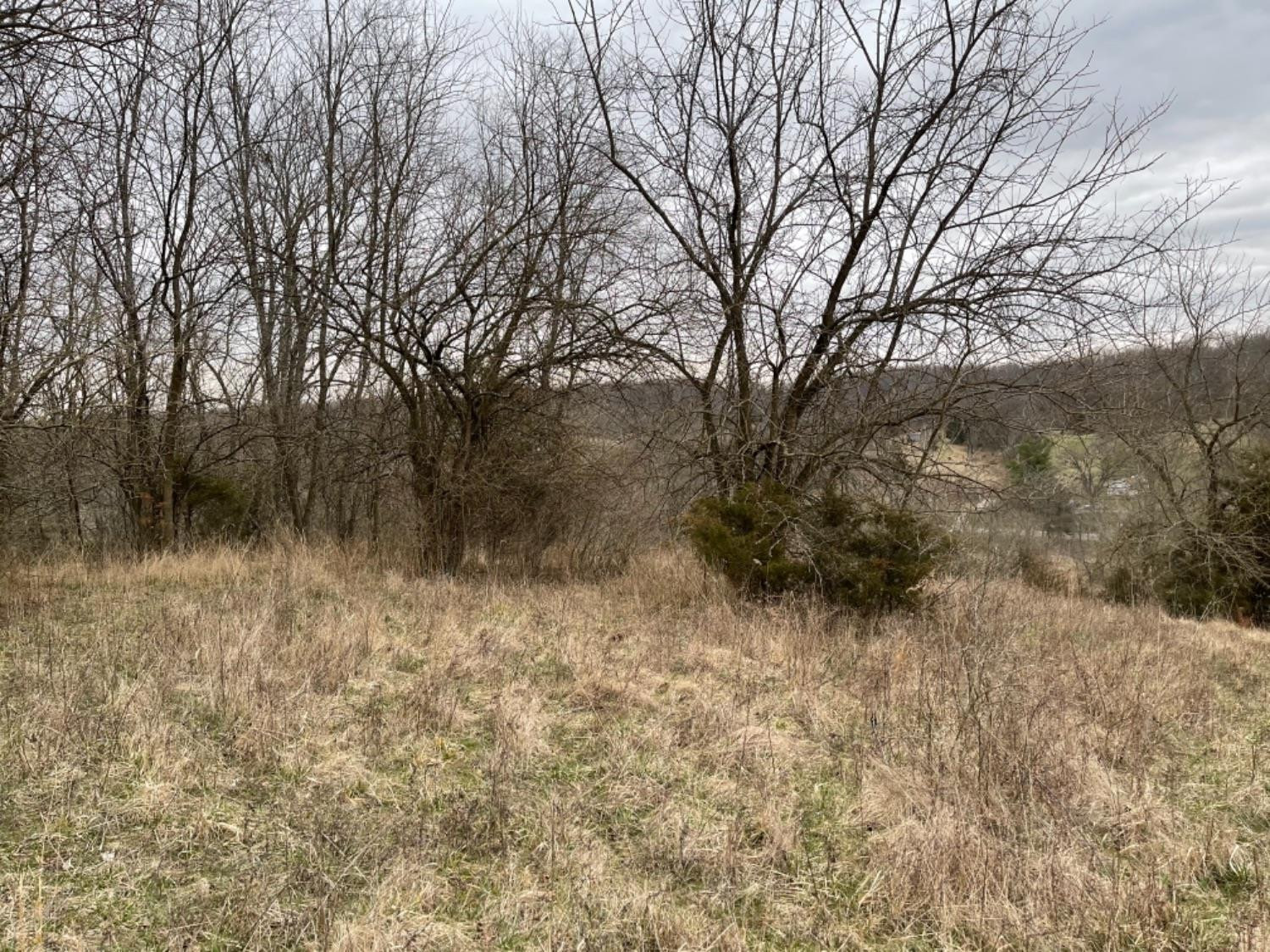 5152 Muddy Ford Road Georgetown, KY 40324 - Photo 4 of 10 Photo 4