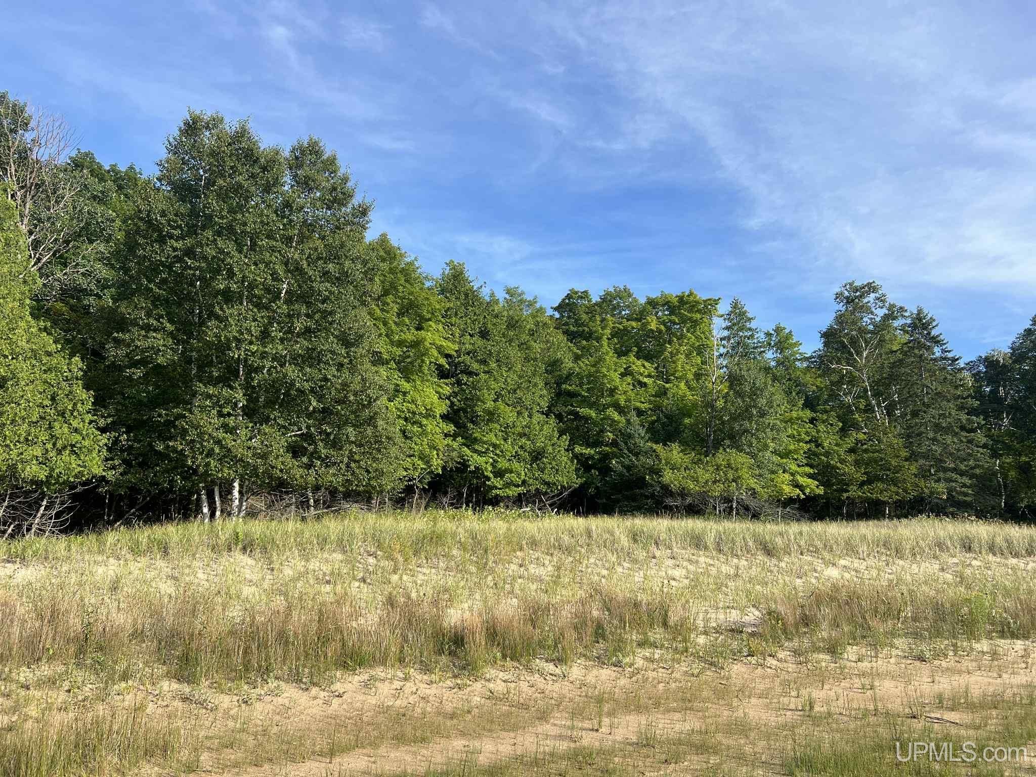 Tbd II Road Garden, MI 49835 - Photo 31 of 42