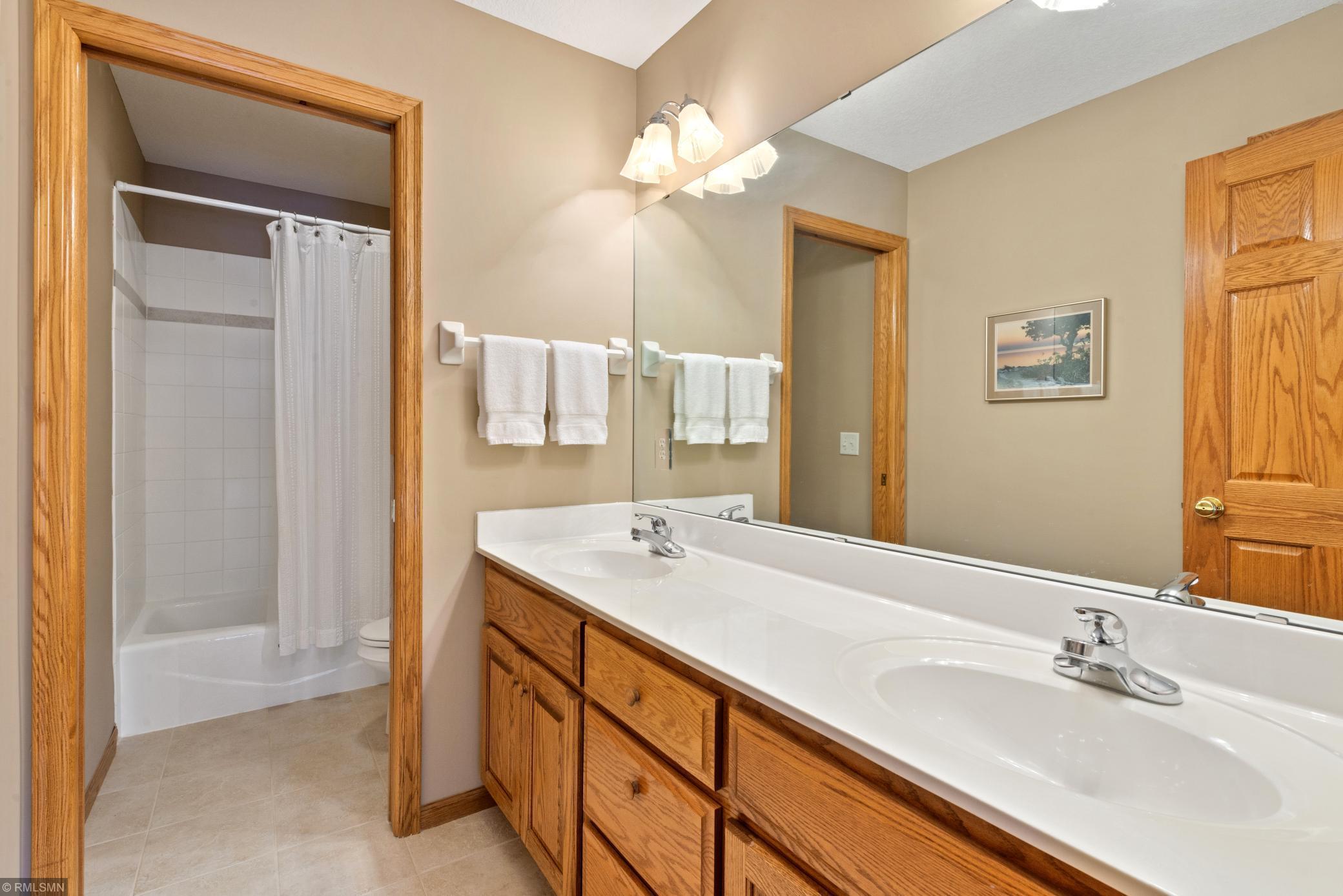 10734 Alison Way Inver Grove Heights, MN 55077 - Photo 19 of 29 Gallery Image 19