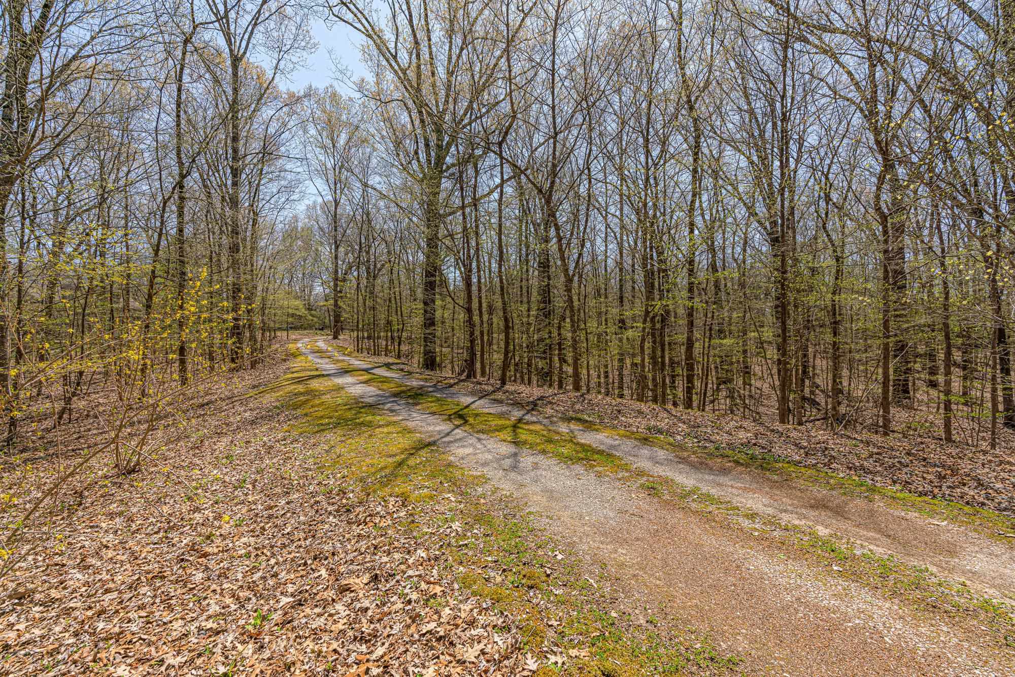 10087 Paul Jones Road Eads, TN 38028 - Photo 2 of 25 Gallery Image 2