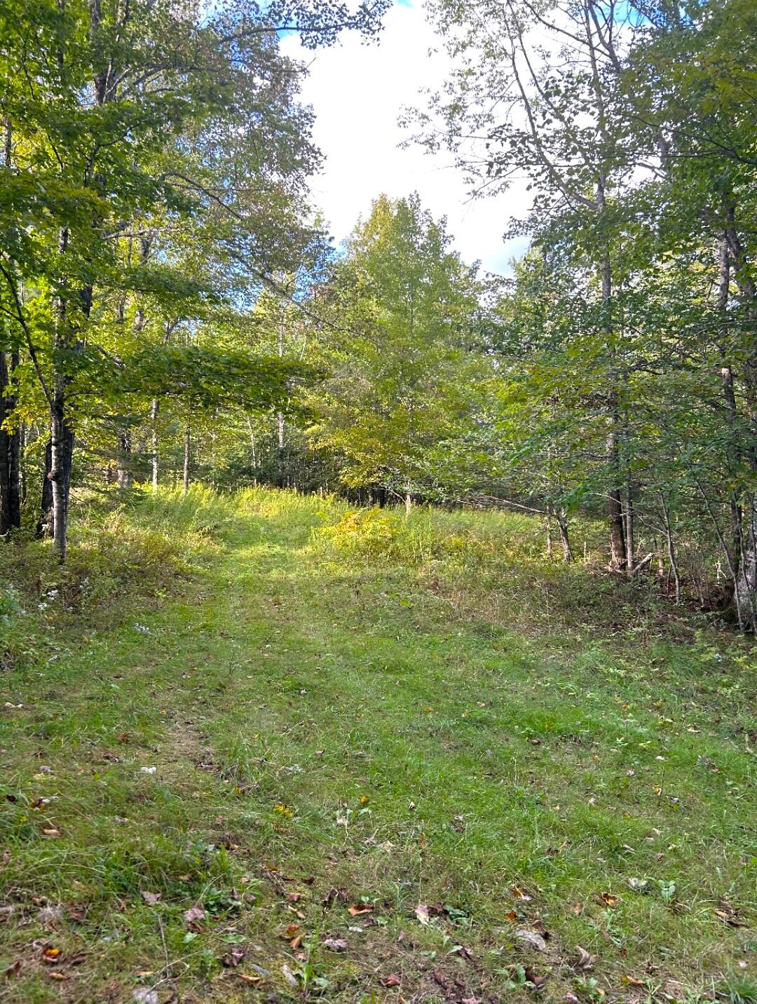 Lot #40-1 Lot#40-1 Map Road, Unit 1 Ripley, ME 04930 - Photo 7 of 27 Land