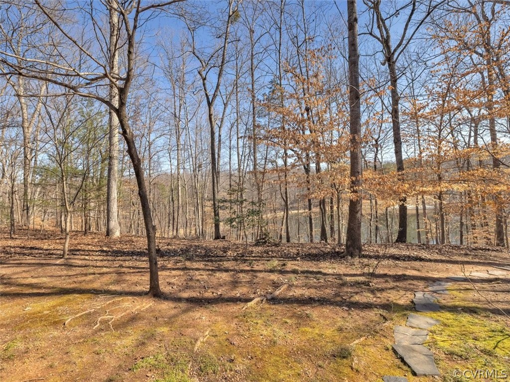 2921 West Brigstock Road Midlothian, VA 23113 - Photo 39 of 46