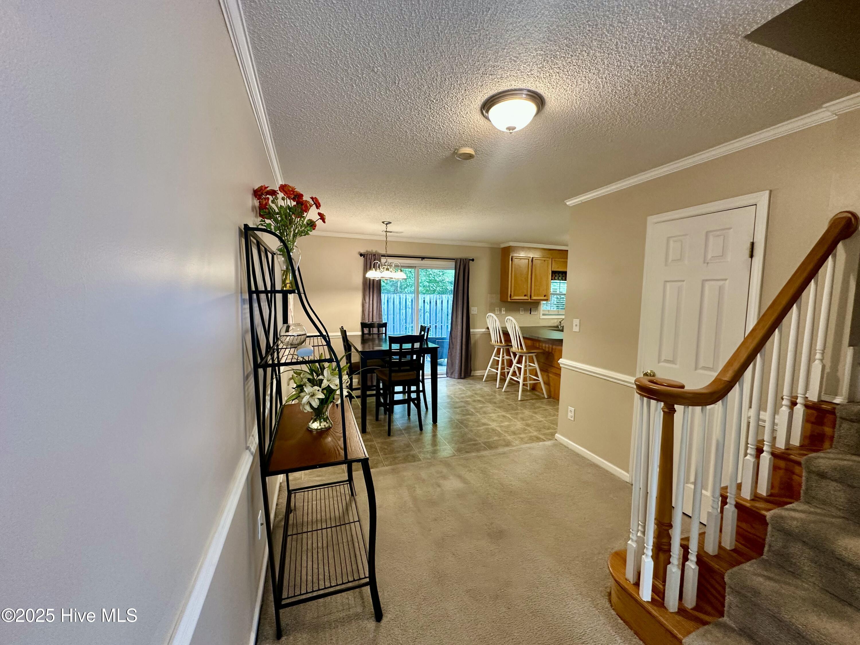 904 Spring Forest Road, Unit E9 Greenville, NC 27834 - Photo 4 of 15 IMG_4430