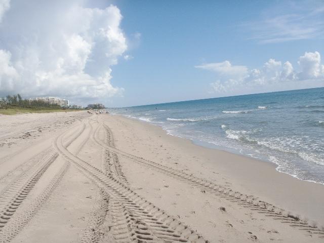 2871 North Ocean Boulevard, Unit D220 Boca Raton, FL 33431 - Photo 63 of 133 001 ocean_and_beach_3