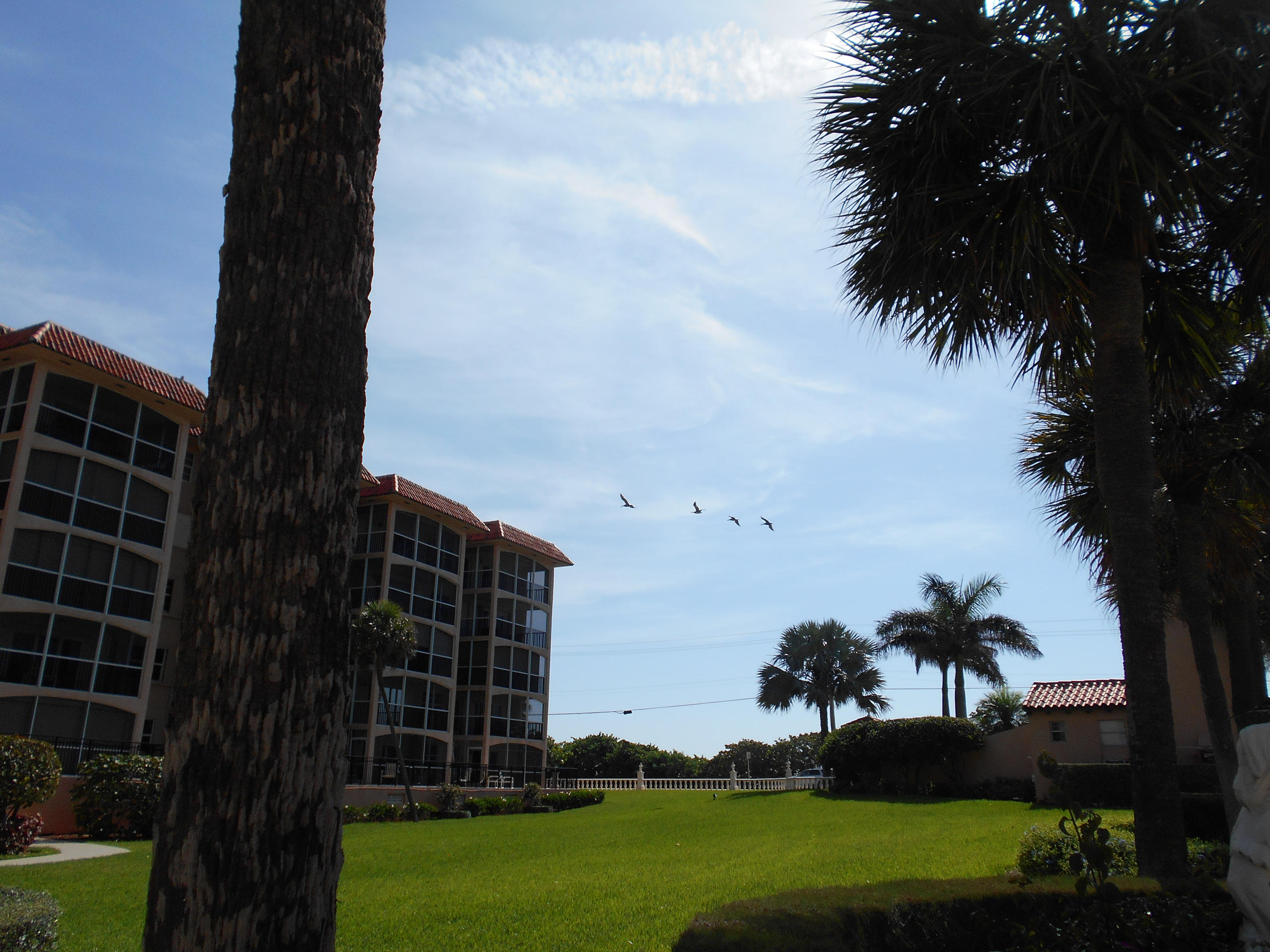 2871 North Ocean Boulevard, Unit D220 Boca Raton, FL 33431 - Photo 78 of 133 it_is_common_to_see_upwards_of_twenty_pe