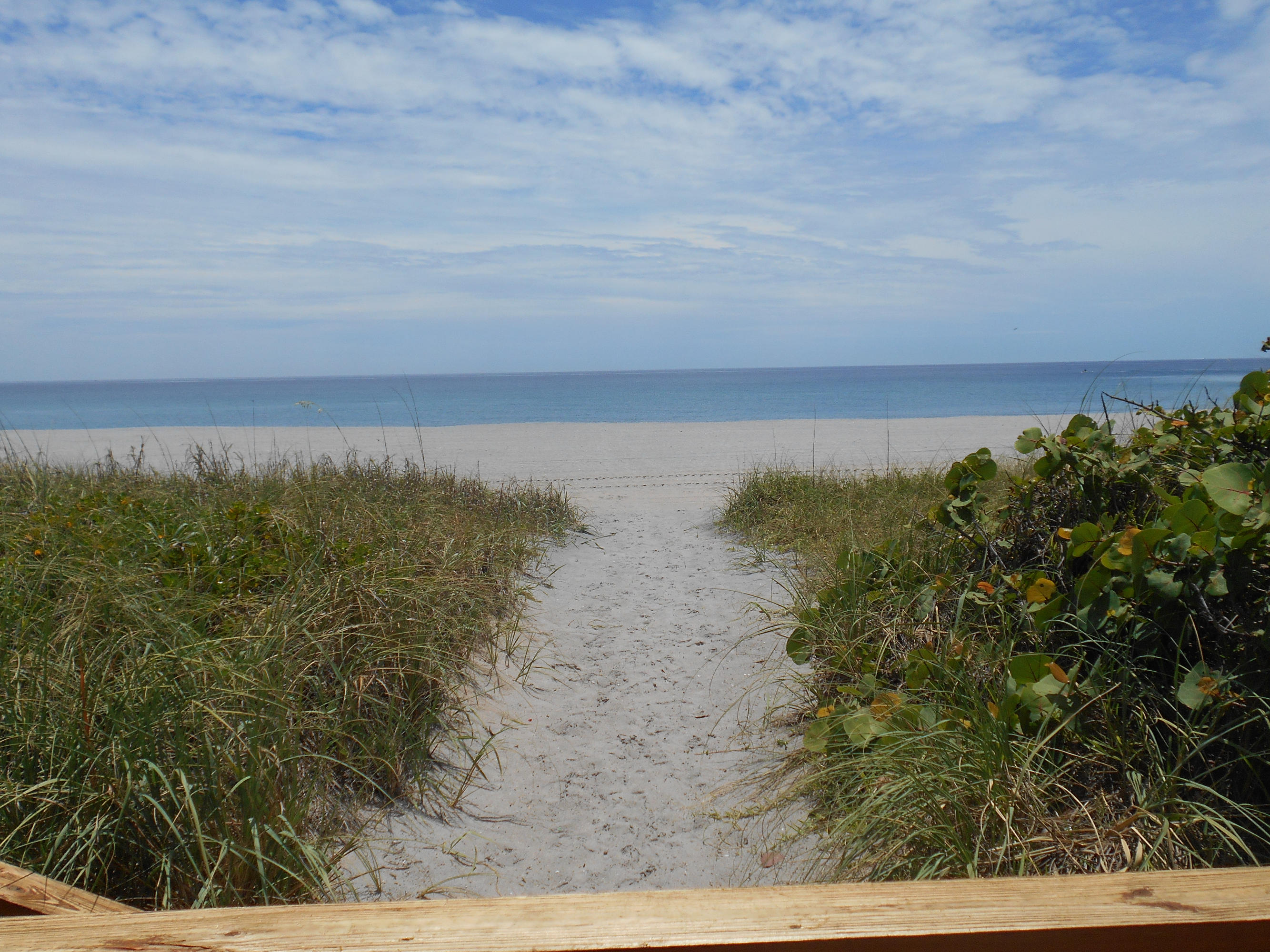 2871 North Ocean Boulevard, Unit D220 Boca Raton, FL 33431 - Photo 79 of 133 private_access_3