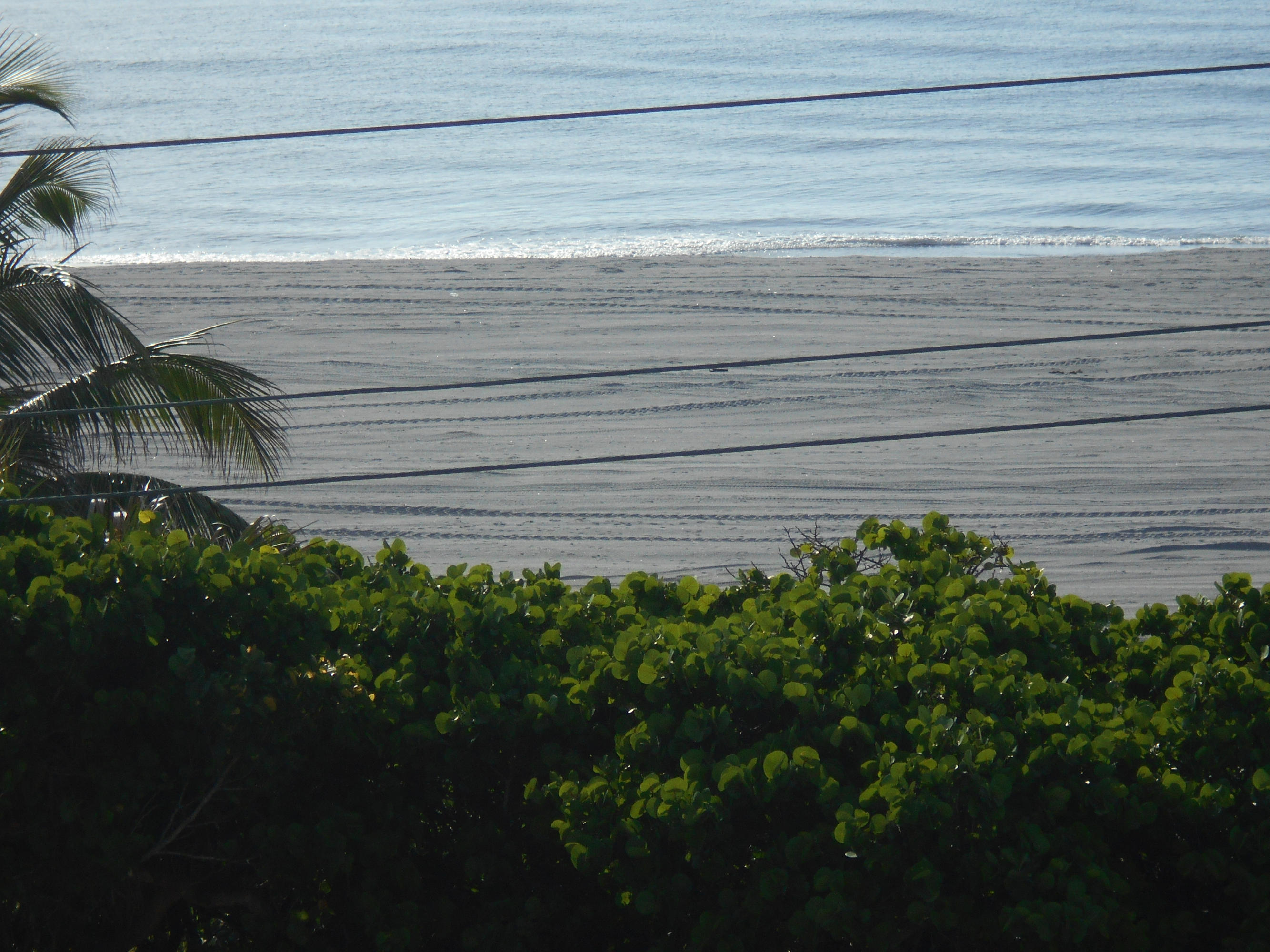 2871 North Ocean Boulevard, Unit D220 Boca Raton, FL 33431 - Photo 84 of 133 your_private_beach_3