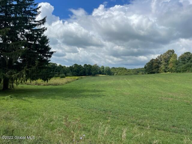 4341 County Rte 30 Hebron, NY 12832 - Photo 6 of 14 Hebron18