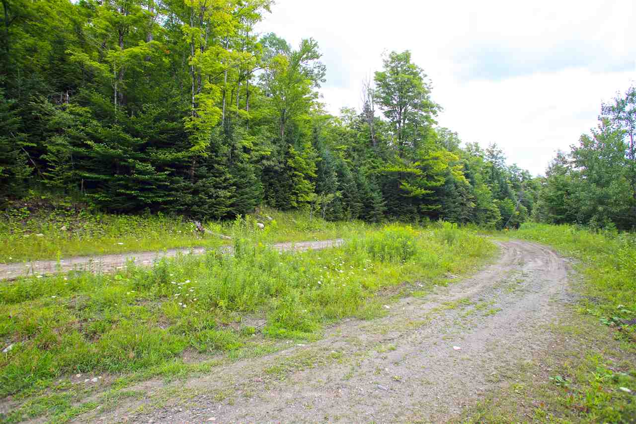 3000 Notch Road Washington, VT 05675 - Photo 19 of 40